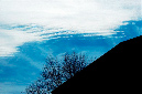 _DSC4126%20(1)