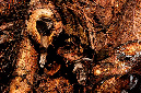 _DSC4133%20(1)