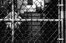 _DSC4147%20(1)