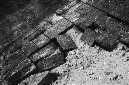 _DSC4149%20(1)