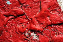 _DSC4158%20(1)