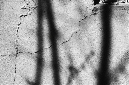 _DSC4162%20(1)