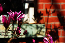 _DSC4166%20(1)