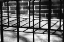 _DSC4172%20(1)
