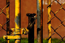 _DSC4175%20(1)