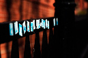 _DSC4184%20(1)