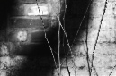 _DSC4210%20(1)