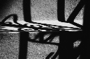 _DSC4213%20(1)