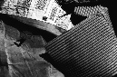 _DSC4220%20(1)