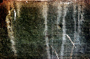 _DSC4271%20(1)