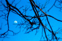 _DSC4284%20(1)