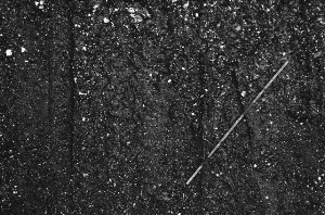 _DSC5015%20(1)