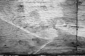 _DSC5049%20(1)