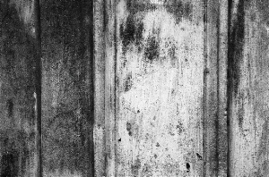 _DSC5057%20(1)