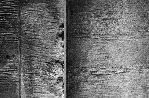 _DSC5077%20(1)