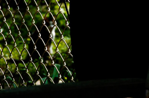 _DSC5093%20(1)