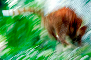 _DSC5124%20(1)