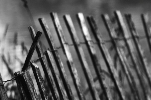 _DSC5170%20(1)
