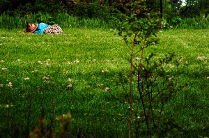 _DSC5274%20(1)