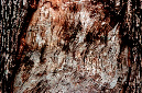 _DSC5006%20(1)
