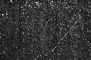 _DSC5015%20(1)