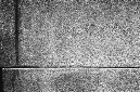 _DSC5036%20(1)