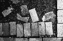 _DSC5046%20(1)