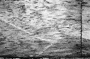 _DSC5049%20(1)