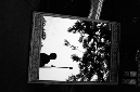 _DSC5054%20(1)