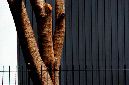 _DSC5065%20(1)