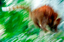 _DSC5124%20(1)