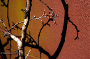 _DSC5137%20(1)