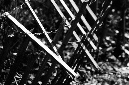 _DSC5158%20(1)