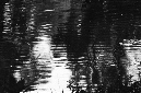 _DSC5160%20(1)