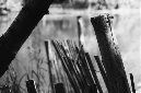 _DSC5167%20(1)