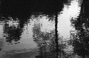 _DSC5187%20(1)