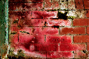 _DSC5195%20(1)