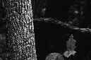 _DSC5202%20(1)