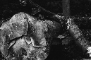 _DSC5216%20(1)