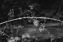_DSC5219%20(1)