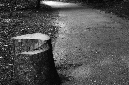 _DSC5238%20(1)