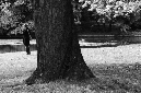 _DSC5240%20(1)