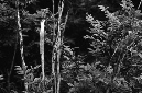 _DSC5255%20(1)