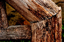 _DSC5260%20(1)