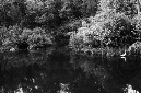 _DSC5262%20(1)