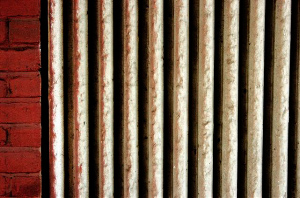 _DSC5334%20(1)