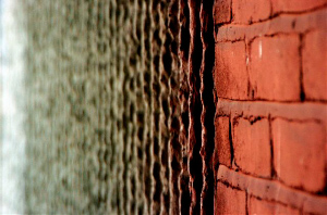 _DSC5346%20(1)