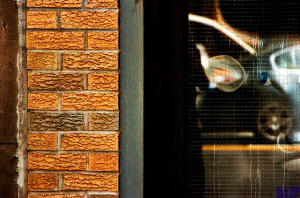 _DSC5372%20(1)
