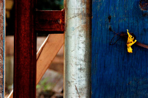 _DSC5392%20(1)