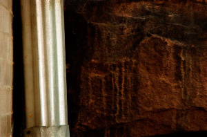_DSC5419%20(1)